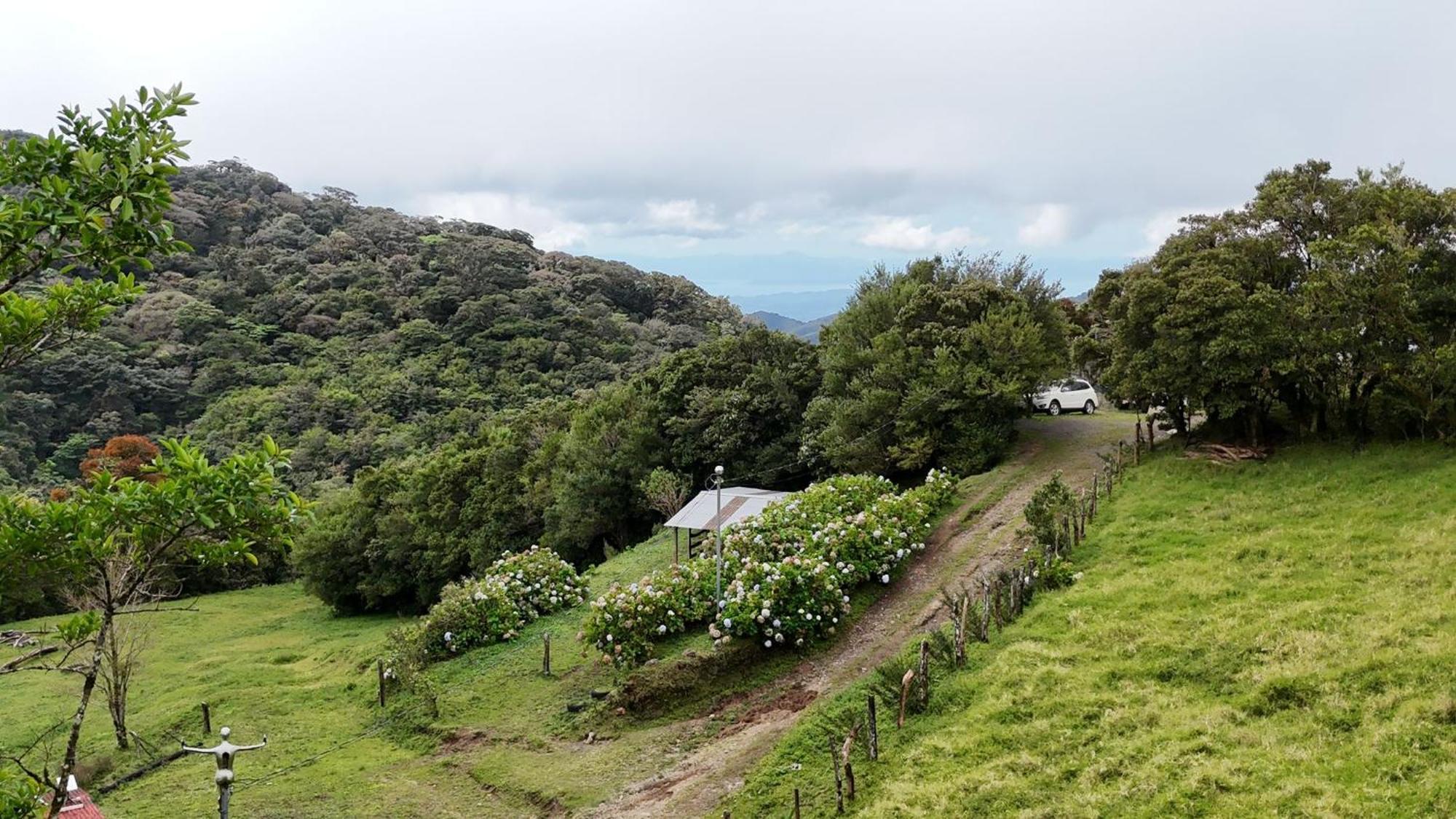 Dadirri House Minicasa Santa Elena Monteverde Bagian luar foto